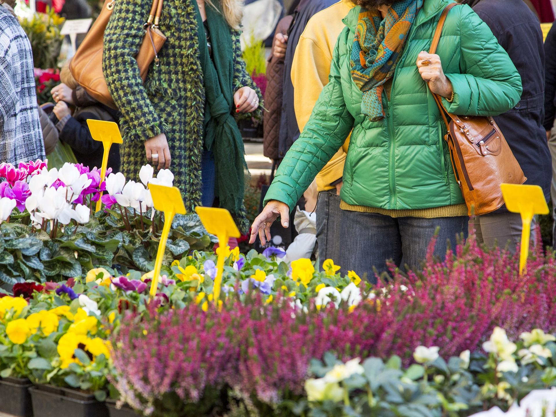 Image Le marché aux fleurs d'Aix-en-Provence